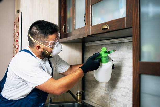Best Best Pest Control Companies  in Petersburg, VA