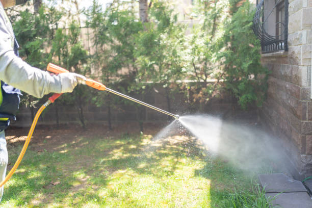 Best Rat Extermination Near Me  in Petersburg, VA