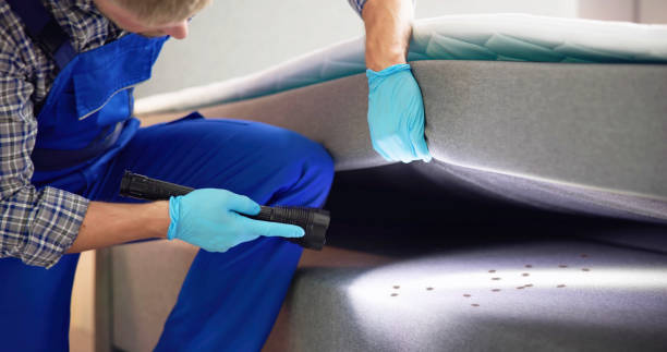 Best Residential Pest Control  in Petersburg, VA