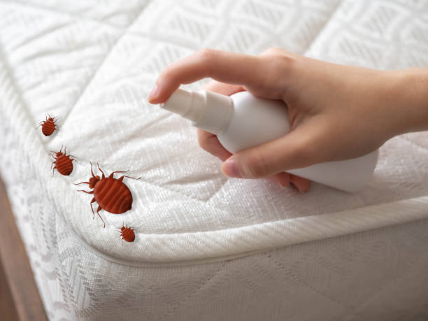 Pest Control Cost in Petersburg, VA